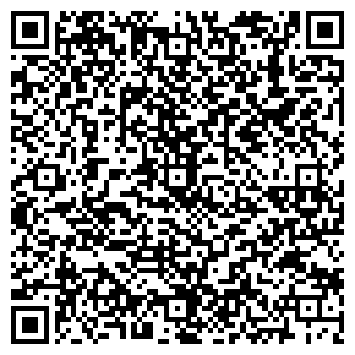 QR-код с контактной информацией организации CHICCO ООО ABC