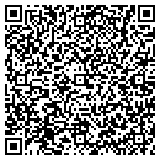 QR-код с контактной информацией организации ВИКОММ, ООО