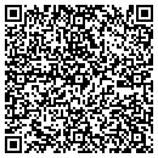 QR-код с контактной информацией организации ООО ШИНСЕРВИС