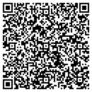 QR-код с контактной информацией организации VIP-ЦЕНТР