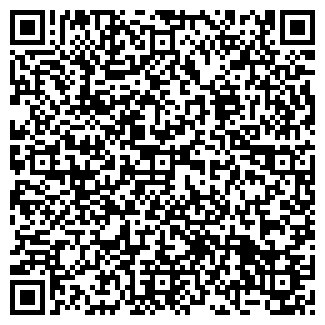 QR-код с контактной информацией организации АРАИР, ООО