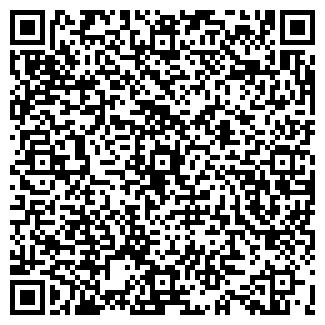 QR-код с контактной информацией организации ФЕНИКС