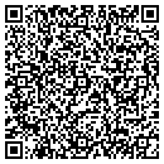 QR-код с контактной информацией организации TOSHIBA