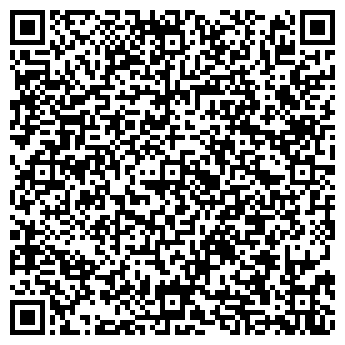 QR-код с контактной информацией организации ЛИЗИНГКОМ, ЗАО