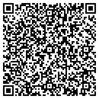 QR-код с контактной информацией организации № 87 АПТЕКА