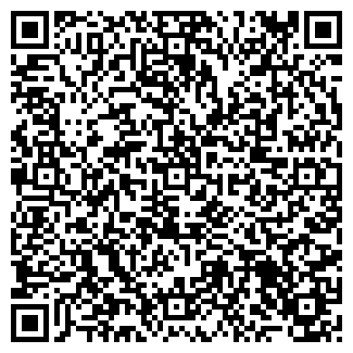 QR-код с контактной информацией организации СТЭМА, ОАО