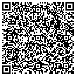 QR-код с контактной информацией организации НОВЫЙ ГОРОД