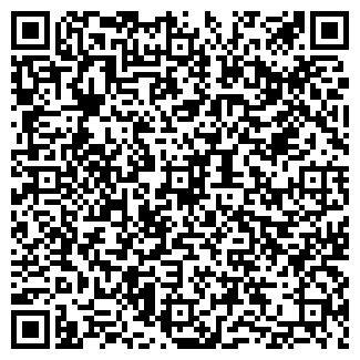 QR-код с контактной информацией организации ИП КИРИЛЛОВ ДМИТРИЙ МИХАЙЛОВИЧ