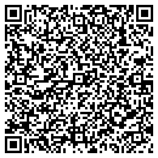 QR-код с контактной информацией организации WEB-ИРКУТСК