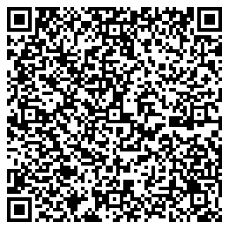 QR-код с контактной информацией организации СИНЕМОРЬЕ