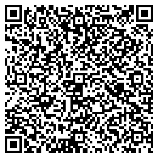 QR-код с контактной информацией организации ООО ГЕЙНС