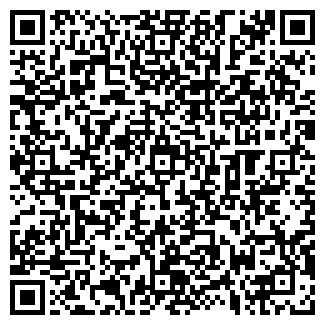 QR-код с контактной информацией организации ИНСИ