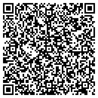 QR-код с контактной информацией организации ООО ПИРАМИДА