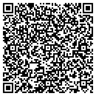 QR-код с контактной информацией организации ИП «Technocolor»