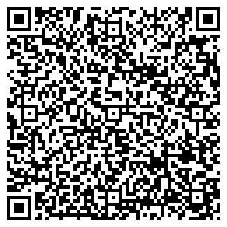 QR-код с контактной информацией организации САФИН, ИП