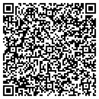 QR-код с контактной информацией организации БИЧАХЧЯН А.А.