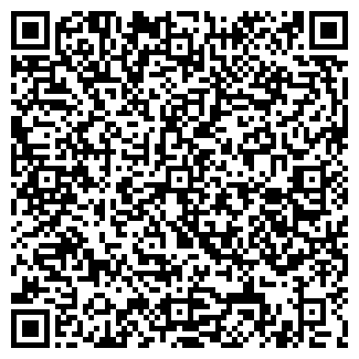 QR-код с контактной информацией организации БРИЛЬКОВ А.И. ИП