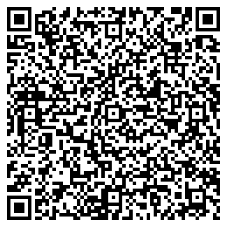 QR-код с контактной информацией организации «Автомир»