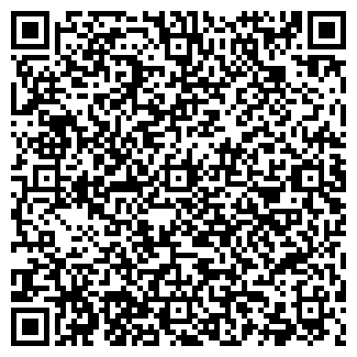 QR-код с контактной информацией организации Евромотор