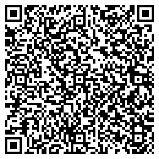 QR-код с контактной информацией организации ВИС ФИРМА