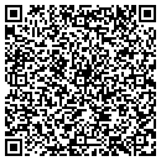 QR-код с контактной информацией организации РОМАШКА