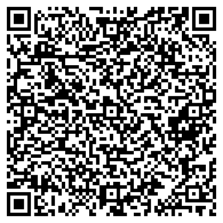 QR-код с контактной информацией организации СИСТЕМА-ХОЛДИНГ