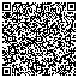 QR-код с контактной информацией организации РОМАШКА, ЧП