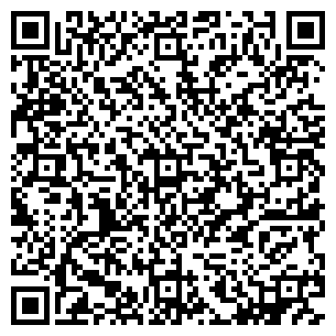 QR-код с контактной информацией организации VIS-A-VIS