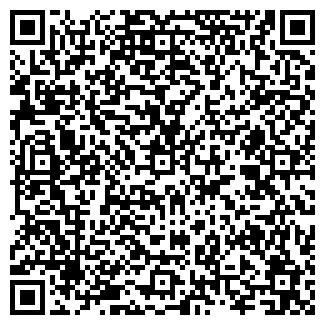 QR-код с контактной информацией организации ЛЫСЬВА