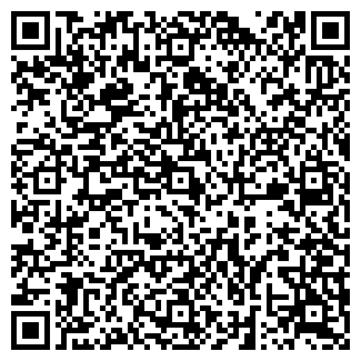 QR-код с контактной информацией организации ВИЛЛЕТТ