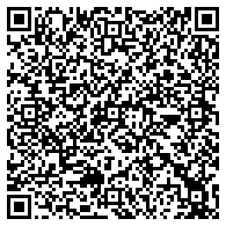 QR-код с контактной информацией организации ШИНЫ