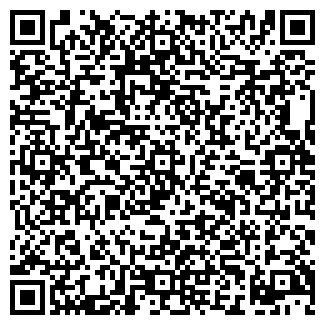 QR-код с контактной информацией организации ВИЗАЖ