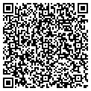 QR-код с контактной информацией организации ИП АНИСИМОВ Е.А.