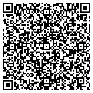 QR-код с контактной информацией организации VIPSHOW