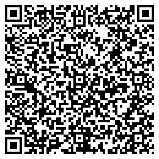QR-код с контактной информацией организации МИШЕКИН И.А. ЧП