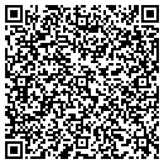 QR-код с контактной информацией организации РИС