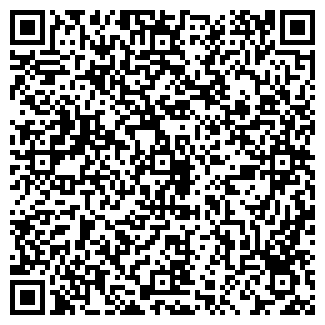 QR-код с контактной информацией организации ВИПОЙЛ АЗС