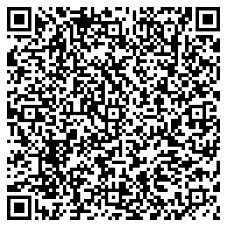 QR-код с контактной информацией организации ВОЛОСТЬ, ООО