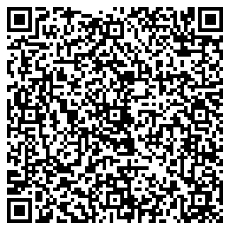 QR-код с контактной информацией организации БИЛЬЯРДНЫЙ МИР