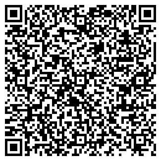 QR-код с контактной информацией организации ВИП ДОМ