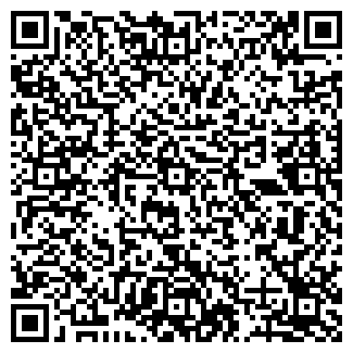 QR-код с контактной информацией организации № 377