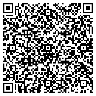 QR-код с контактной информацией организации № 378