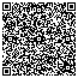 QR-код с контактной информацией организации ПУЛКОВО