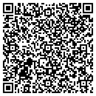 QR-код с контактной информацией организации БАЛТТЕХЛИЗИНГ