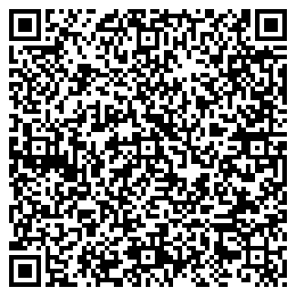 QR-код с контактной информацией организации ЛИЗИНГ
