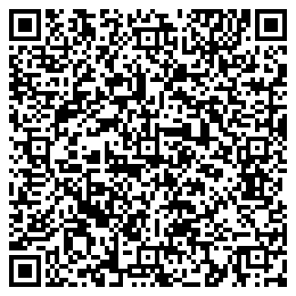 QR-код с контактной информацией организации ТЕЛЕОМСК, ОАО