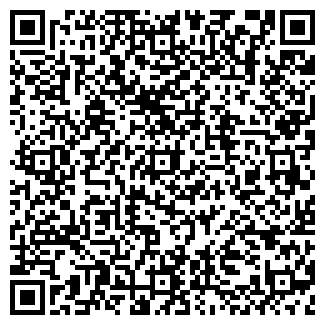 QR-код с контактной информацией организации 29 ДМВ КАНАЛ