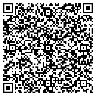 QR-код с контактной информацией организации ВИЗИР-СТРОЙСЕРВИС