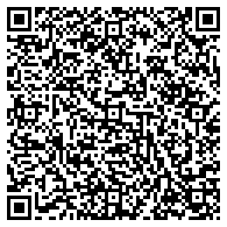 QR-код с контактной информацией организации АЛЕКО СТО