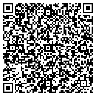 QR-код с контактной информацией организации ВИКИНГ КАФЕ